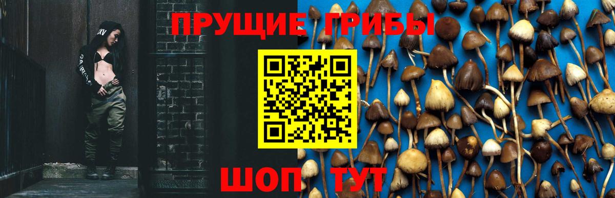 Галлюциногенные грибы Psilocybe  Вход с VPN  Уварово  Галлюциногенные грибы Magic Shrooms 